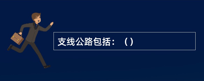 支线公路包括：（）