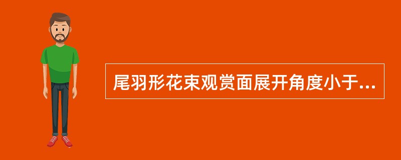 尾羽形花束观赏面展开角度小于（）。