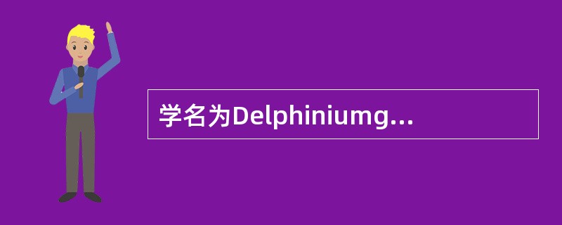 学名为Delphiniumgrangiflorum的花卉，其中文名是（）。