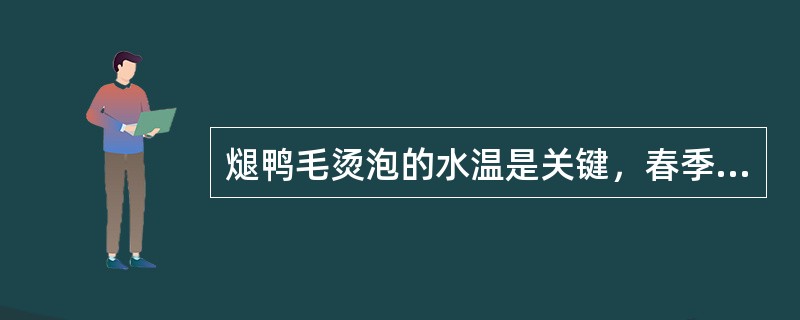 煺鸭毛烫泡的水温是关键，春季以（）为宜。