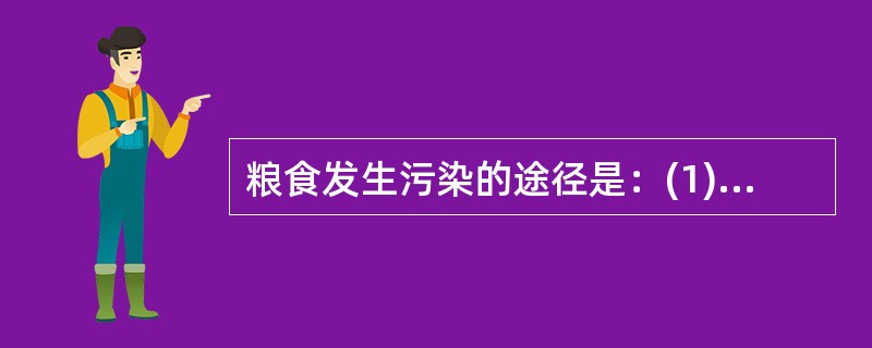 粮食发生污染的途径是：(1)微生物的污染；(2)有害植物种子对粮食的污染；(3)