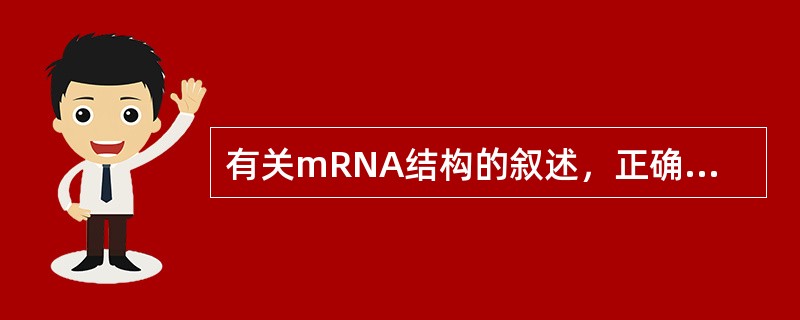 有关mRNA结构的叙述，正确的是（）