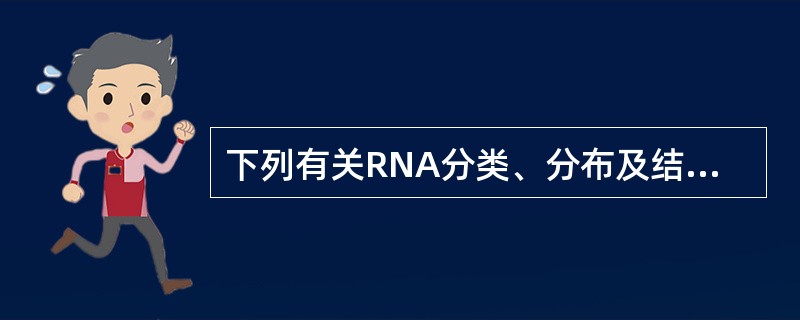 下列有关RNA分类、分布及结构的叙述错误的是（）