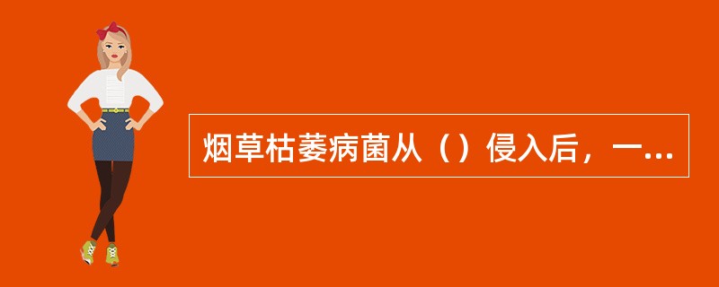 烟草枯萎病菌从（）侵入后，一般到生长后期才表现症状，病株叶片逐渐变黄、萎焉、以至