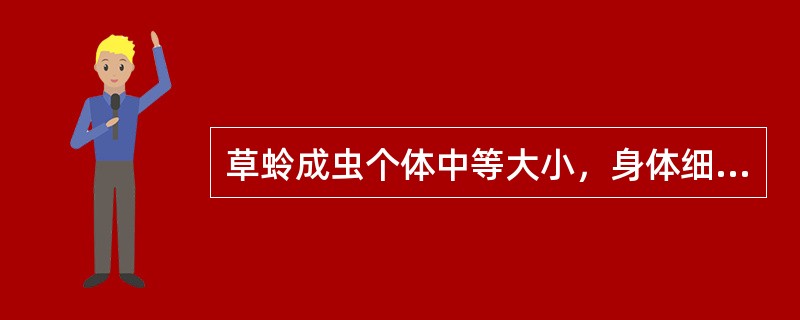 草蛉成虫个体中等大小，身体细长，柔软、绿色、黄色或灰白色。复眼有金色闪光，触角长