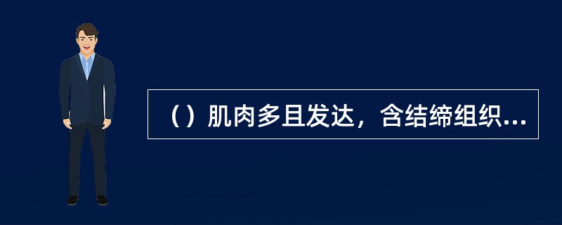 （）肌肉多且发达，含结缔组织较多，宜于加工成丁、块等，适于炒、炸、烧等技法。