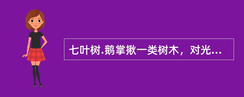 七叶树.鹅掌揪一类树木，对光照的要求比较严格，不能称为中性树.