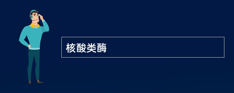 核酸类酶