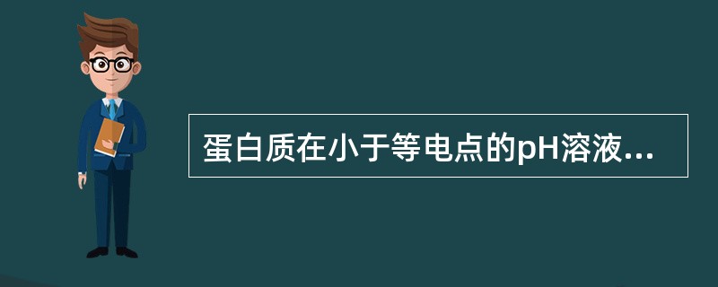 蛋白质在小于等电点的pH溶液中，向阳极移动，而在大于等电点的pH溶液中向阴极移动