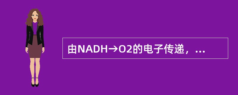 由NADH→O2的电子传递，释放的能量足以偶联ATP合成的3个部位是（）和（）以