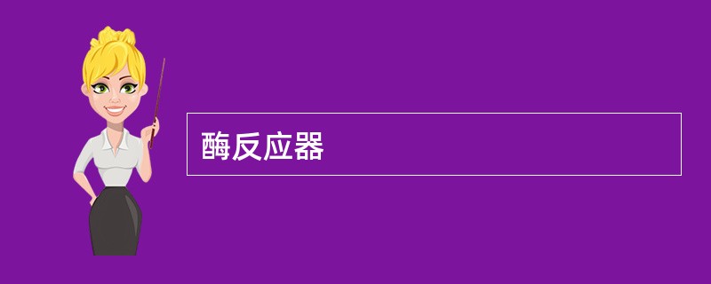 酶反应器