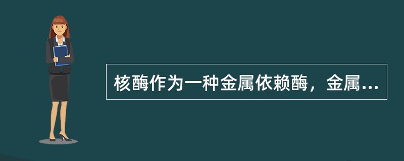 核酶作为一种金属依赖酶，金属离子在I型内含子中发挥的作用是什么？