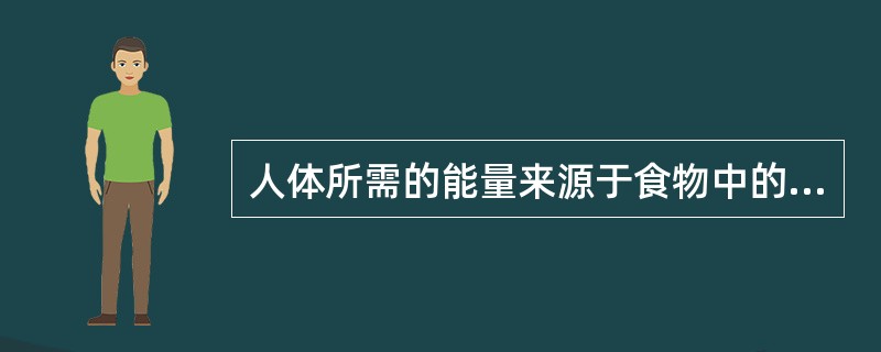 人体所需的能量来源于食物中的蛋白质、脂肪和（）。