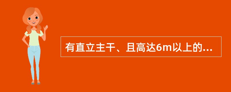 有直立主干、且高达6m以上的木本植物称为乔木。常见的高大树木都是乔木，如木棉、（
