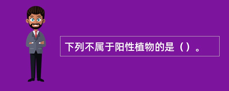 下列不属于阳性植物的是（）。