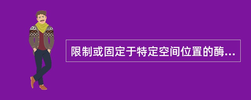 限制或固定于特定空间位置的酶是（）。