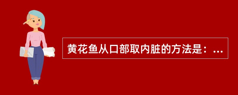 黄花鱼从口部取内脏的方法是：先在鱼的脐部割一刀，将内脏割断，再用两根筷子方头由（