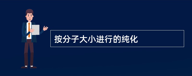 按分子大小进行的纯化