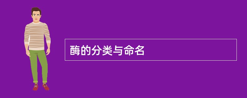 酶的分类与命名
