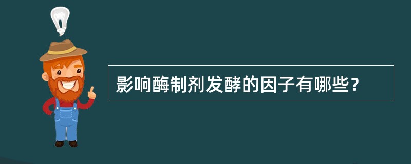 影响酶制剂发酵的因子有哪些？