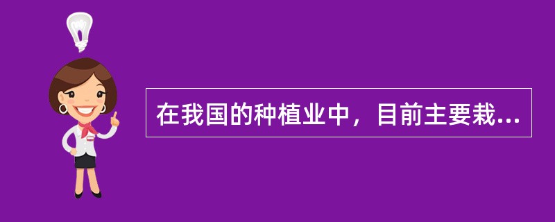 在我国的种植业中，目前主要栽培的芹菜品种是西洋芹、（）。