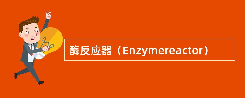 酶反应器（Enzymereactor）