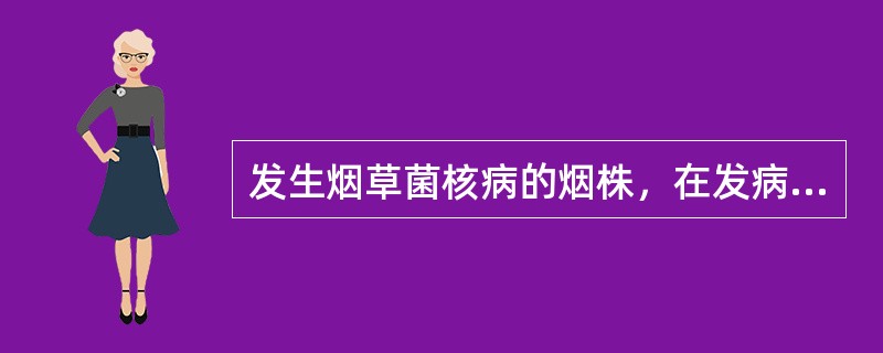 发生烟草菌核病的烟株，在发病后期，病株的蒴果和茎杆内部可见由菌丝形成的白色鼠粪状