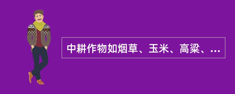 中耕作物如烟草、玉米、高粱、棉花、大豆、薯类等小区面积小些。