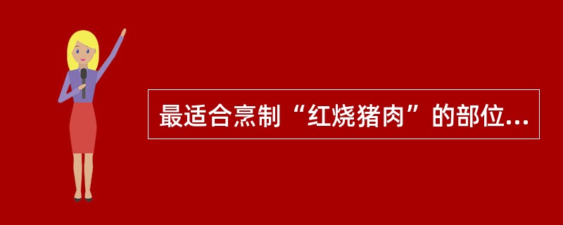 最适合烹制“红烧猪肉”的部位原料是（）。