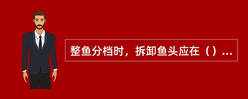 整鱼分档时，拆卸鱼头应在（）位置下刀。