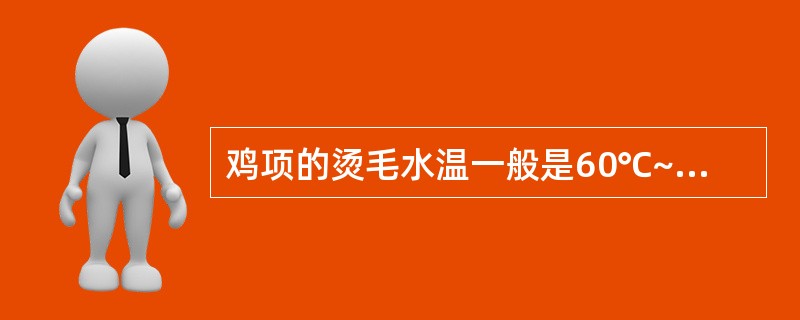 鸡项的烫毛水温一般是60℃~65℃。