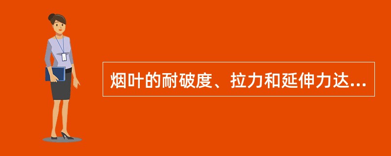 烟叶的耐破度、拉力和延伸力达不到最大的是（）