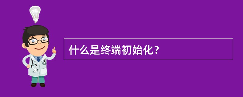 什么是终端初始化？