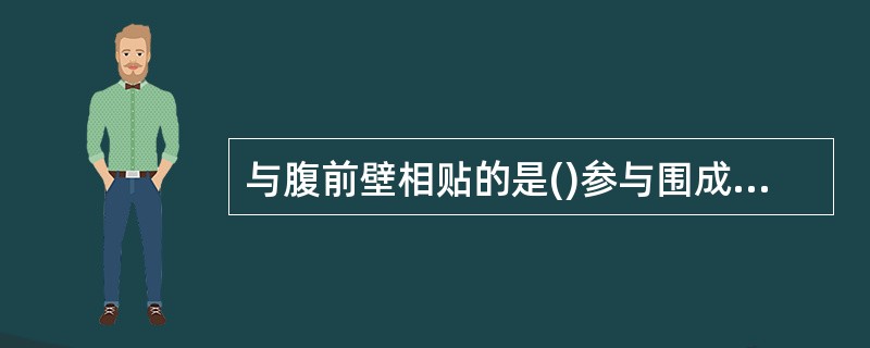 与腹前壁相贴的是()参与围成胆囊三角的结构是()与肝总管汇合的是()斜穿十二指肠