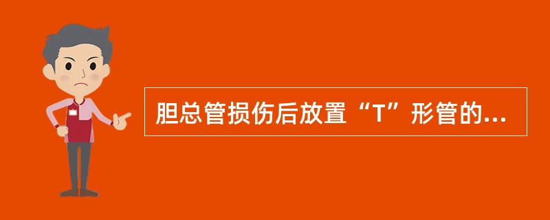 胆总管损伤后放置“T”形管的时间要求是（）。