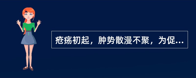 疮疡初起，肿势散漫不聚，为促使疮形缩小，趋于局限，早日成脓和破溃，治疗应首选()