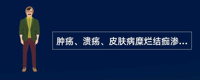 肿疡、溃疡、皮肤病糜烂结痂渗液不多者常用（）。