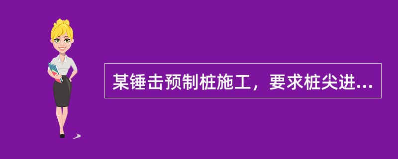 某锤击预制桩施工，要求桩尖进入风化岩土层，则打桩应按（）原则控制。