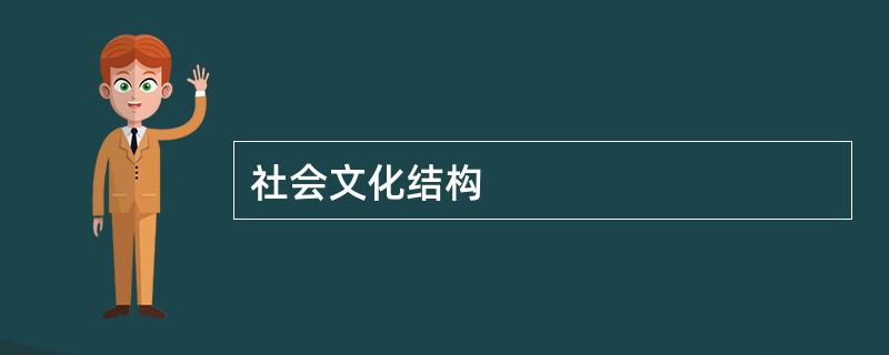 社会文化结构