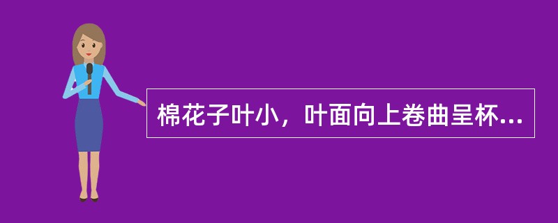 棉花子叶小，叶面向上卷曲呈杯状或向下卷呈凸状，是由于缺少什么元素造成的？（）