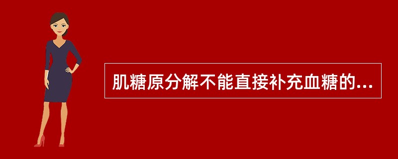 肌糖原分解不能直接补充血糖的原因是（）