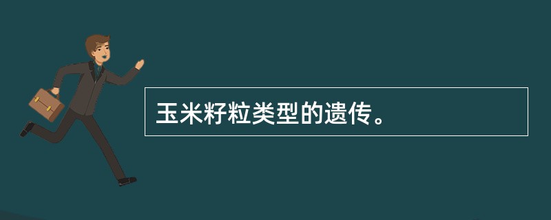 玉米籽粒类型的遗传。