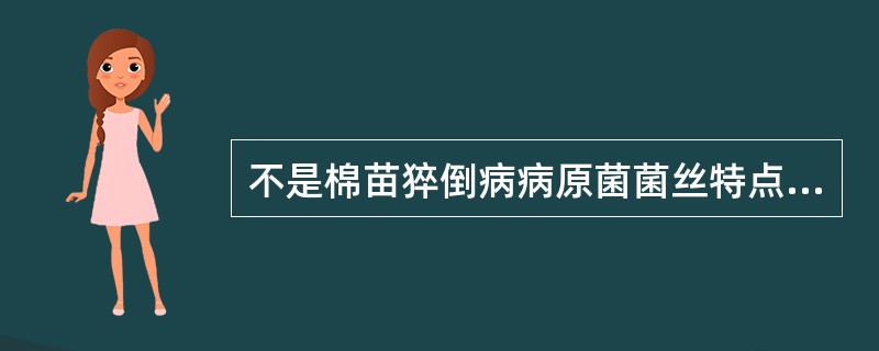 不是棉苗猝倒病病原菌菌丝特点的是（）。