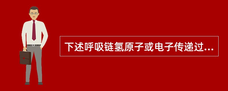 下述呼吸链氢原子或电子传递过程中，哪个传递过程为氧化磷酸化部位（）