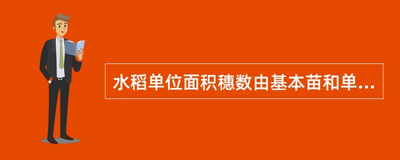 水稻单位面积穗数由基本苗和单株有效分蘖两个因素决定。从播种开始到最高分蘖期后的1