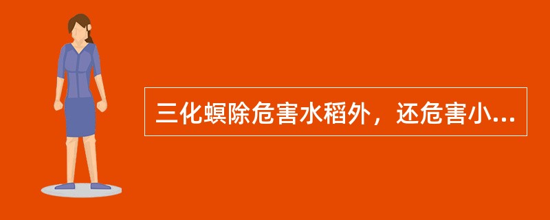 三化螟除危害水稻外，还危害小麦、茭白等。