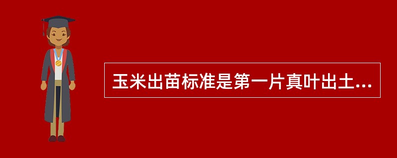 玉米出苗标准是第一片真叶出土，苗高达（）时。