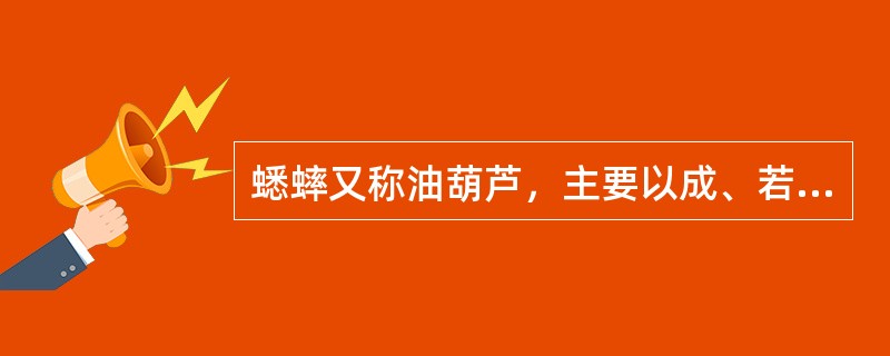 蟋蟀又称油葫芦，主要以成、若虫咬食玉米植株的雄穗、花丝和雌穗，影响玉米授粉和籽粒