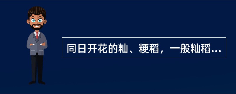 同日开花的籼、粳稻，一般籼稻开花（），粳稻开花（）