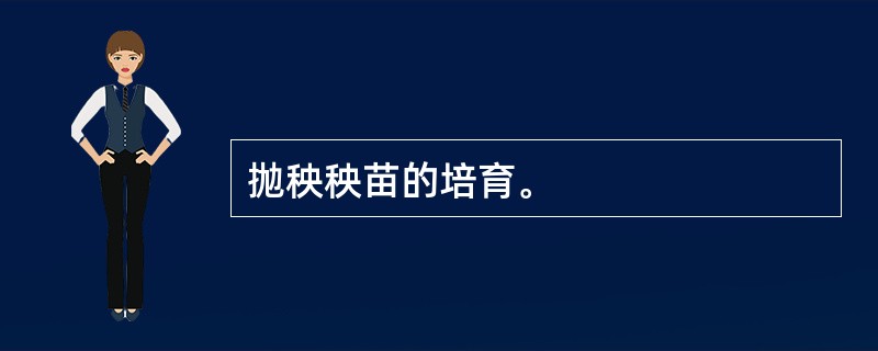 抛秧秧苗的培育。